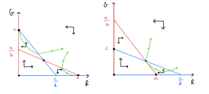 Two hand-drawn phase portraits. In both cases G is on the vertical axis with no numeric values and R is on the horizontal axis with no numeric values. In both cases a blue line runs downwards from G=c at R=0 to G=0 at R=c/d, and a red line runs downwards from G=a/b at R=0 to G=0 at R=a. In both these two cases the two lines cross.1. The red line startes below the blue line. Two trajectories are shown starting near the top-right. The higher trajectory moves south-west, then north-west. From lower trajectory moves south-west then south-east. 2. The red line starts above the blue line. Two trajectories are shown starting near the top-right. The higher trajectory moves south-west into the central equilibrium. The lower trajectory moves south-west then north-west into the central equilibrium.