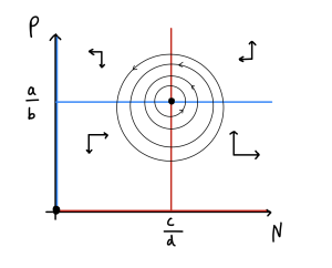 Hand-drawn phase portrait. Predator densities P are on the vertical axis with no numeric values. Prey densities N are on the horizontal axis with no numeric values. A blue horizontal line is at P=a/b. A red vertical line is at N=c/d. A series of concentric circle trajectories move anti-clockwise around the point where the two lines cross.