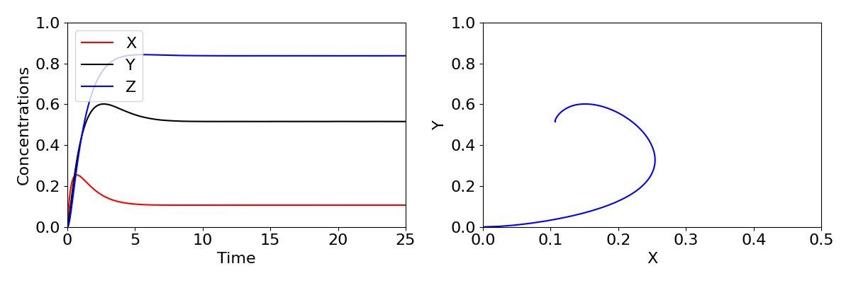 A time ocurse and phase diagram.     1. Concentrations are on the vertical axis and time on the horizontal axis. Three curves for each density all start at 0 when t=0. All increase initially, have a slight bump then quickly saturate at values of roughly X=0.1, Y=0.5 and Z=0.8.    2. Y is on the vertyical axis and X is on the horizontal axis. A trajectory starts at X=0 and Y=0, then has a small anti-clockwise spiral into the equilibrium.