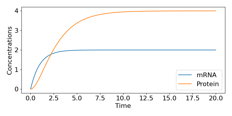 |Time-course of single-gene model. Concentrations are on the vertical axis with values from 0 to 4 and time is on the horizontal axis with values from o to 20. Two curves are shown, both starting at o when t=0. The curve for mRNA initially increases rapidly but then saturates quite early towards a value of 2. The curve for protein increases more slowly and saturates mroe slowly towards a value of 4.