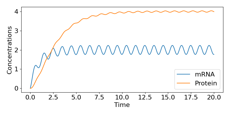 Time-course of single-gene model with oscillating transcription. Concentrations are on the vertical axis with values from 0 to 4 and time is on the horizontal axis with values from 0 to 20. The mRNA curve generally increases rapidly but quickly saturates around a value of 2. Regular fluctuations are seen every 1 time step with an amplitude of around 0.5. The protein increases and saturates more gently and shows much smaller amplitude oscillations.