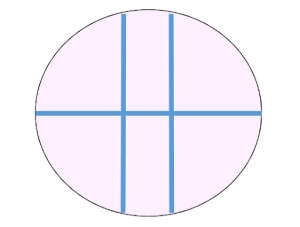 diagram of cell culture well with lines to show how to make the scratch